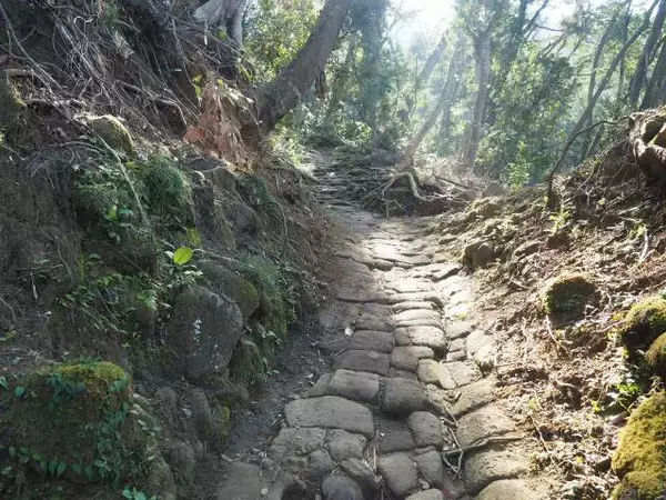 「絶景と秘湯に出会う山旅（２０）南房総の“ラピュタの城”鋸山と海の湯宿・花しぶき【千葉県】」の画像