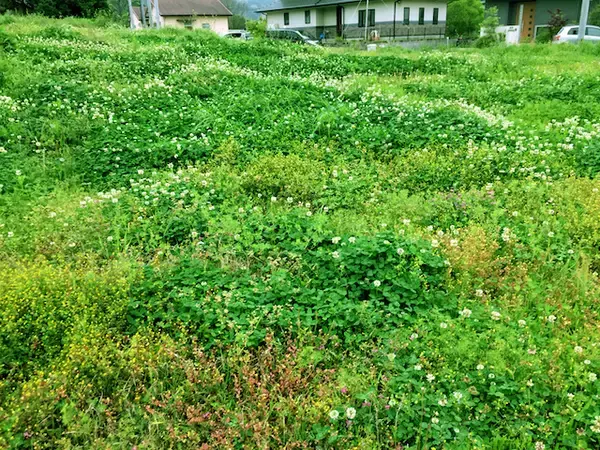 「日本列島ゆるゆる古墳ハント（１３）一見“ただの野原”、実は国宝級の価値！福岡県古賀市「船原古墳」」の画像