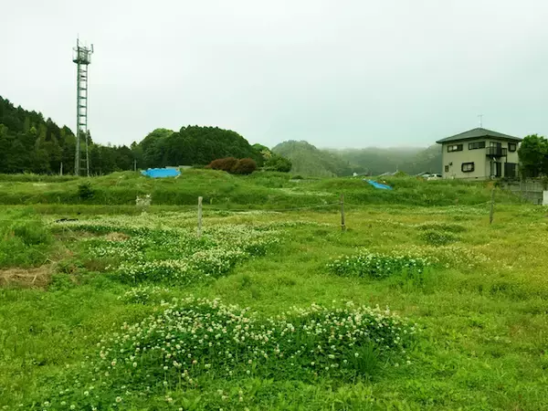 「日本列島ゆるゆる古墳ハント（１３）一見“ただの野原”、実は国宝級の価値！福岡県古賀市「船原古墳」」の画像