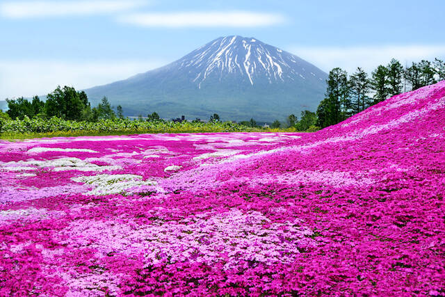 【北海道の難読地名】占冠、長万部、忍路・・・いくつ読めますか？