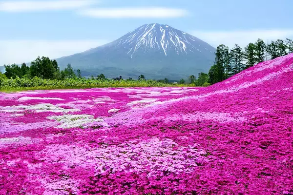 「【北海道の難読地名】占冠、長万部、忍路・・・いくつ読めますか？」の画像