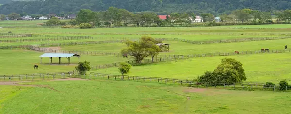 「【北海道の難読地名】占冠、長万部、忍路・・・いくつ読めますか？」の画像