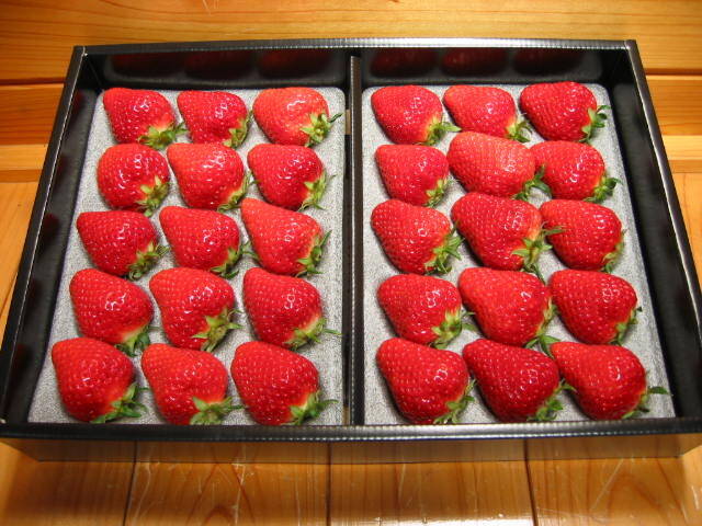 食べてみたいイチゴ1位は？おすすめのお取り寄せイチゴも【じゃらん】