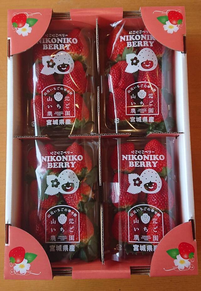 食べてみたいイチゴ1位は？おすすめのお取り寄せイチゴも【じゃらん】