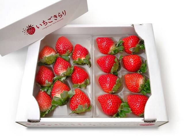 食べてみたいイチゴ1位は？おすすめのお取り寄せイチゴも【じゃらん】