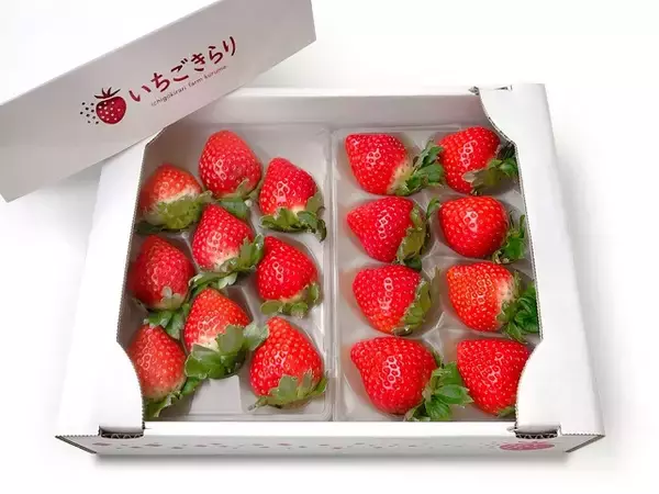 「食べてみたいイチゴ1位は？おすすめのお取り寄せイチゴも【じゃらん】」の画像
