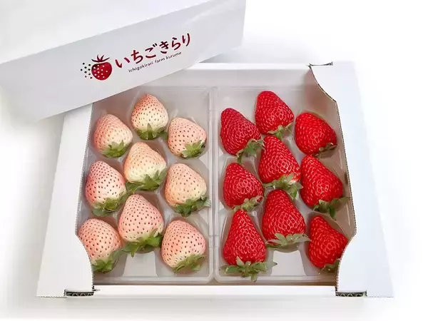 「食べてみたいイチゴ1位は？おすすめのお取り寄せイチゴも【じゃらん】」の画像