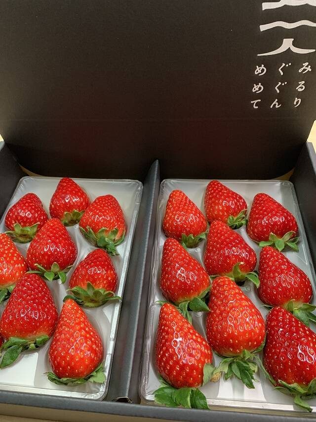 食べてみたいイチゴ1位は？おすすめのお取り寄せイチゴも【じゃらん】