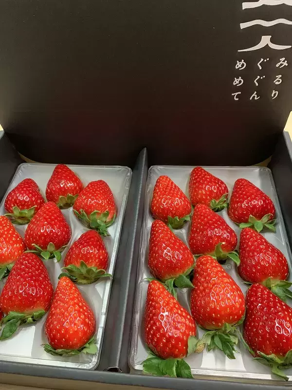 「食べてみたいイチゴ1位は？おすすめのお取り寄せイチゴも【じゃらん】」の画像