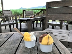 【奄美大島】自家農園でとれたフルーツたっぷりのジェラートを楽しめる「ラフォンテ」