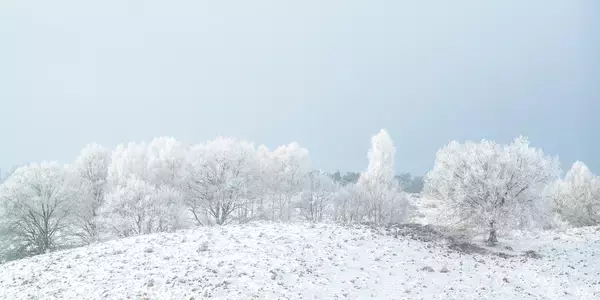 「【世界冬の絶景】オランダ最古の国立公園「フェルウェゾーム国立公園」の雪景色」の画像