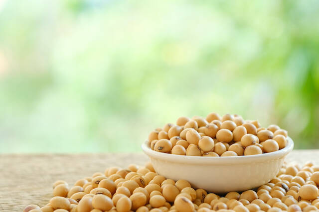 今日は何の日？【２月３日】