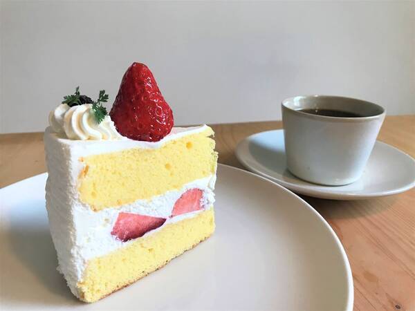 京都 ショートケーキ ワッフル レモンケーキ 懐かしい味わいにほっとする 洋菓子の欧風堂 21年2月28日 エキサイトニュース