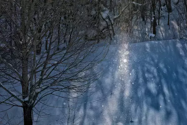 今日は何の日？【２月１７日】