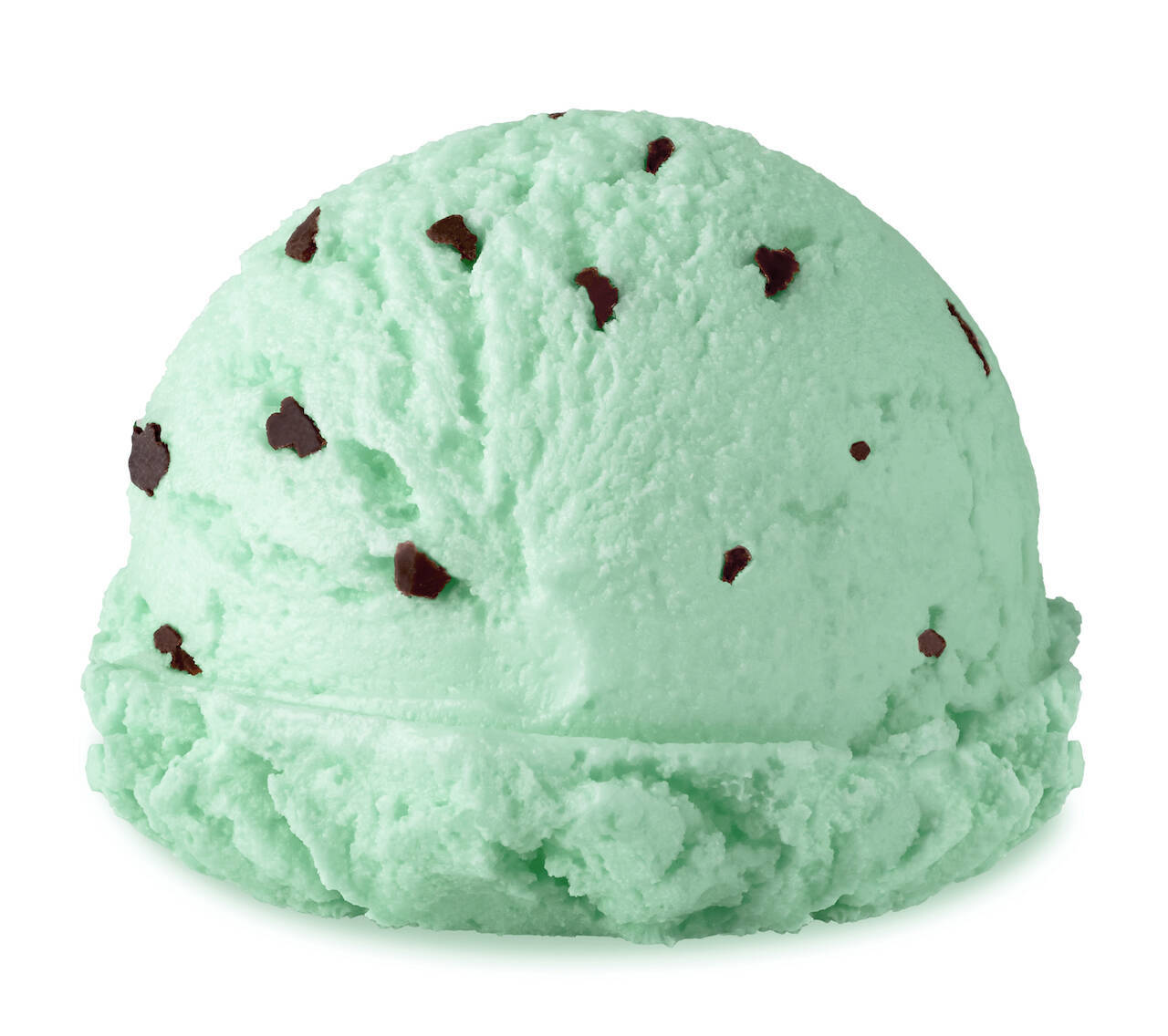 今日は何の日？【２月１９日】