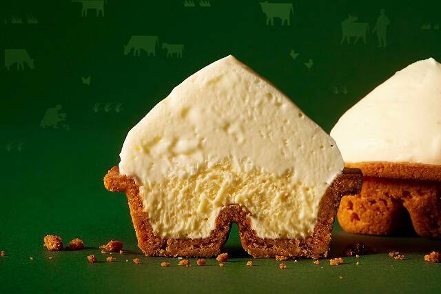 スフレとムースの２層構造が美味しい！ふわふわザクザクの発明的チーズケーキ