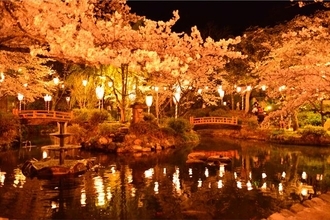 温泉、お花見スポット、ご当地グルメまで！旬の鳥取県を感じる旅