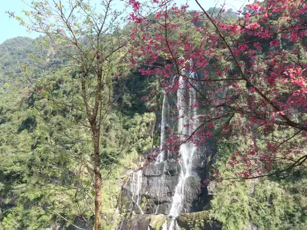 「【台湾】温泉観光地・烏來（ウーライ）で名物グルメ５つを食べ歩き！現地ルポ」の画像