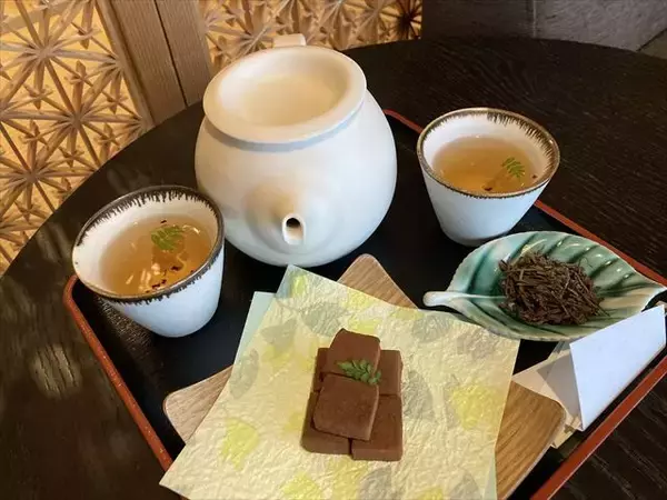 「宿にいながら「厄除け」して開運！「界 日光」で”やくばらい湯治”を満喫してきた【星野リゾート宿泊ルポ】」の画像