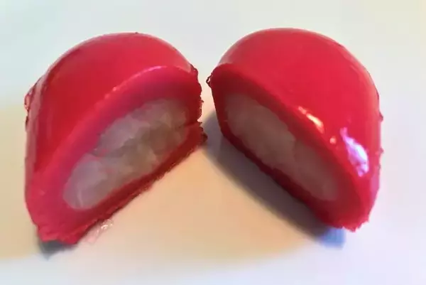 「【京都】マカロン or チョコレート！？季節の果実を生かした進化系和菓子店「果朋 -KAHOU-」」の画像