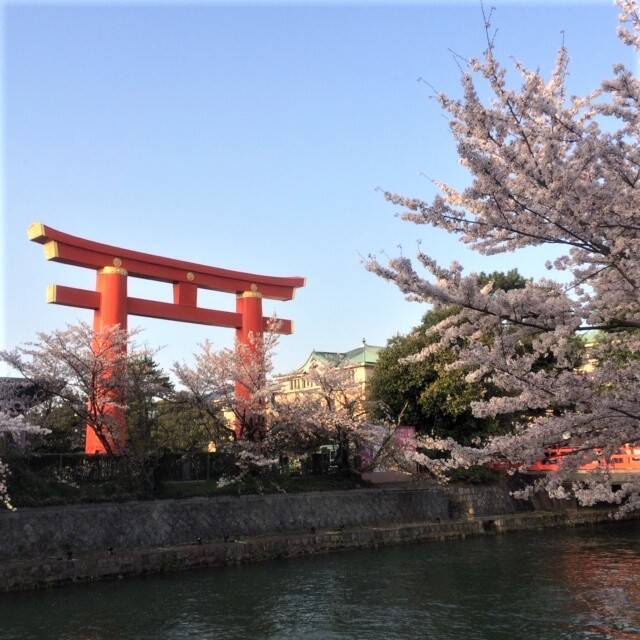 【京都】平安神宮や琵琶湖疏水のお花見がてら訪れたい！開放的なカフェ＆レストラン「京都モダンテラス」
