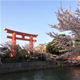 「【京都】平安神宮や琵琶湖疏水のお花見がてら訪れたい！開放的なカフェ＆レストラン「京都モダンテラス」」の画像21
