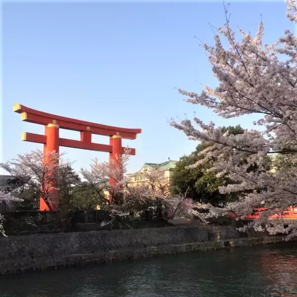 「【京都】平安神宮や琵琶湖疏水のお花見がてら訪れたい！開放的なカフェ＆レストラン「京都モダンテラス」」の画像