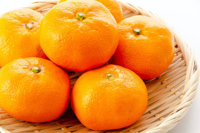 知らないと損をする英会話術６５：そのままで通じる！英語になった日本語ワード