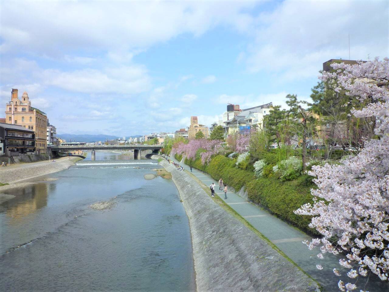 【京都】鴨川沿いの桜を眺めながら、ライスバーガーを楽しめるカフェ「川間食堂」
