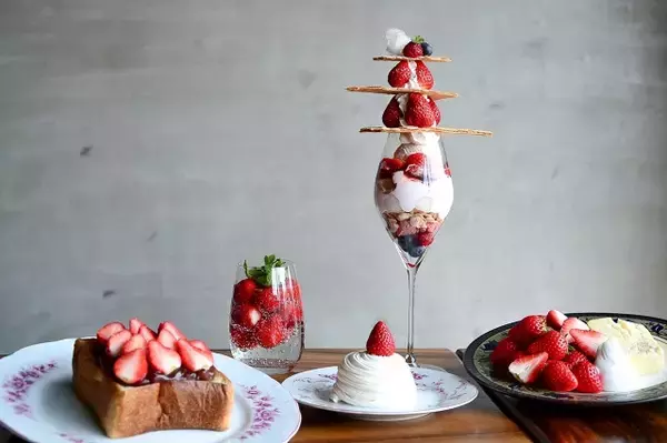 坊っちゃん列車を眺めながら、旬のいちごたっぷりスイーツを【道後 白鷺珈琲】