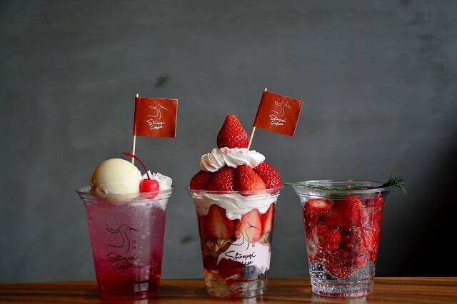 坊っちゃん列車を眺めながら、旬のいちごたっぷりスイーツを【道後 白鷺珈琲】