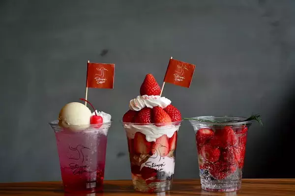 「坊っちゃん列車を眺めながら、旬のいちごたっぷりスイーツを【道後 白鷺珈琲】」の画像