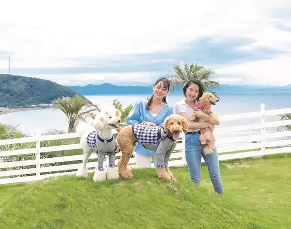 「淡路島のカリコ岬に、オーシャンビューが楽しめるベーカリーカフェがオープン」の画像