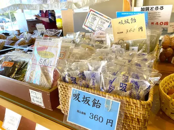 「【石川県 加賀 山代温泉】箱入り温泉卵がかわいくてお土産におすすめ！」の画像
