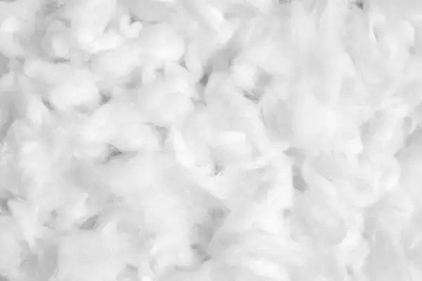 「今日は何の日？【５月１０日】」の画像