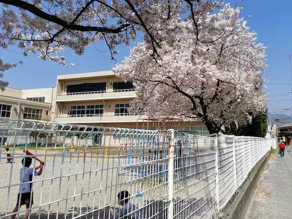 「いながきの駄菓子屋探訪４３山梨県笛吹市「長瀬商店」温泉地にあるノスタルジックな雰囲気の店」の画像