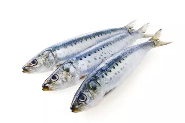 「今日は何の日？【６月２２日】」の画像