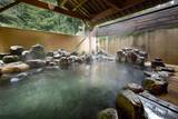 「絶景と秘湯に出会う山旅（２５）日本百名山の伊吹山と須賀谷温泉」の画像1