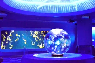 水族館のニュース トラベル 1127件 エキサイトニュース