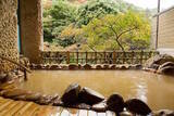「日本三名泉・有馬温泉でどこに泊まる？楽天トラベル「有馬温泉の人気ホテル・旅館ランキング ２０２１年版」」の画像16