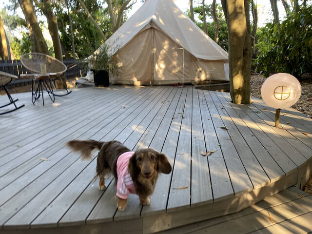 東京から１時間の別世界！稲毛海浜公園内にオープンしたグランピング施設「スモール プラネット キャンプ＆グリル」に行ってみた！