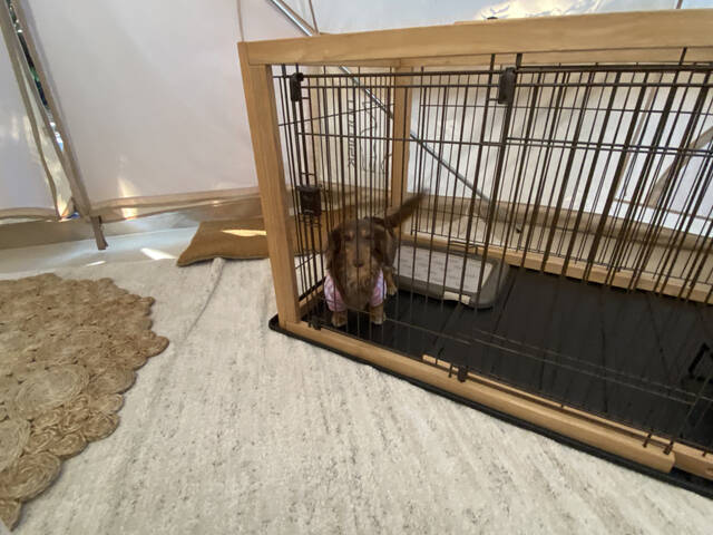 東京から１時間の別世界！稲毛海浜公園内にオープンしたグランピング施設「スモール プラネット キャンプ＆グリル」に行ってみた！