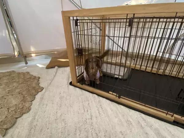 「東京から１時間の別世界！稲毛海浜公園内にオープンしたグランピング施設「スモール プラネット キャンプ＆グリル」に行ってみた！」の画像