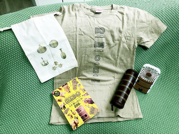 日本列島ゆるゆる古墳ハント ２４ 国宝 アプリ グッズ コンテンツ充実の群馬県高崎市 綿貫観音山古墳 21年6月9日 エキサイトニュース