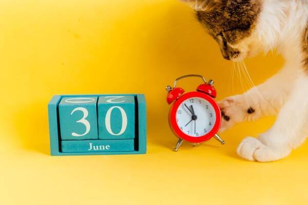 今日は何の日 ６月３０日 21年6月30日 エキサイトニュース