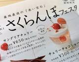 「【YATSUDOKI】３種の旬の“赤い宝石”が楽しめる「さくらんぼフェスタ」、タルトとチョコショートを実食！」の画像18