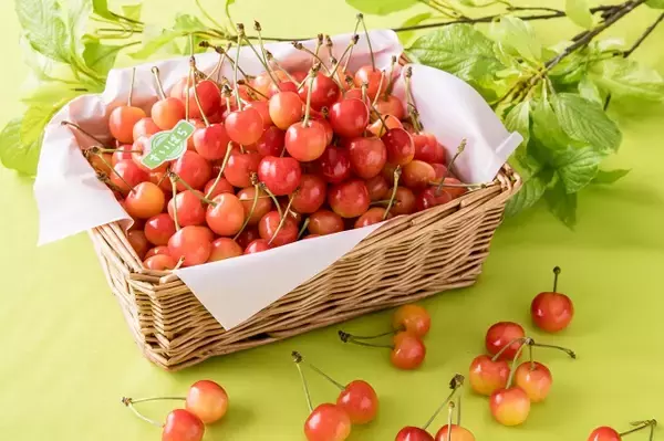 贅沢に好きなだけ堪能！スイパラで「国産さくらんぼ・メロン食べ放題」開催
