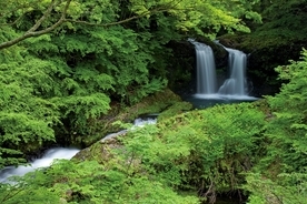【涼を呼ぶ夏の絶景】甲信越地域の美しい滝５選