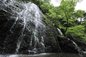【涼を呼ぶ夏の絶景】北陸地域の美しい滝５選