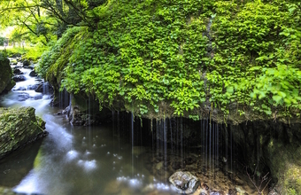 【涼を呼ぶ夏の絶景】中国地域の美しい滝５選